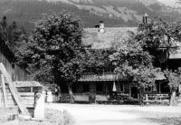 Dateiname=Schwendau_209.jpg
Dateigröße=141KB
Abmessungen: 900x622
hinzugefügt am: 23. September 2009 Schwendau_209.jpg