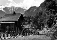 Dateiname=Schwendau_255_hr#1E37.jpg
Dateigröße=179KB
Abmessungen: 900x633
hinzugefügt am: 09. September 2009 Schwendau_255_hr#1E37.jpg
