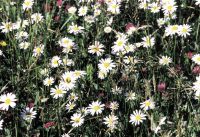 Dateiname=Schwendau_371.jpg
Dateigröße=187KB
Abmessungen: 900x619
hinzugefügt am: 28. September 2009 Schwendau_371.jpg