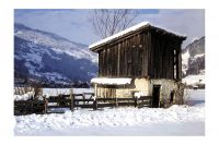 Dateiname=Schwendau_401.jpg
Dateigröße=102KB
Abmessungen: 900x599
hinzugefügt am: 05. Oktober 2009 Schwendau_401.jpg
