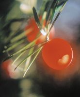 Dateiname=Schwendau_917_MEV.jpg
Dateigröße=74KB
Abmessungen: 472x570
hinzugefügt am: 16. November 2009 Schwendau_917_MEV.jpg