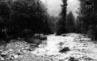 Dateiname=klein_Überschwemmung1946_sf096.jpg
Dateigröße=119KB
Abmessungen: 1000x635
hinzugefügt am: 01. Juli 2009 klein_Überschwemmung1946_sf096.jpg